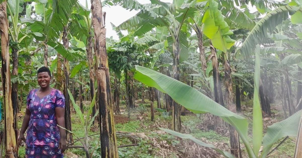 Charity from Uganda's loan has been funded! Kiva