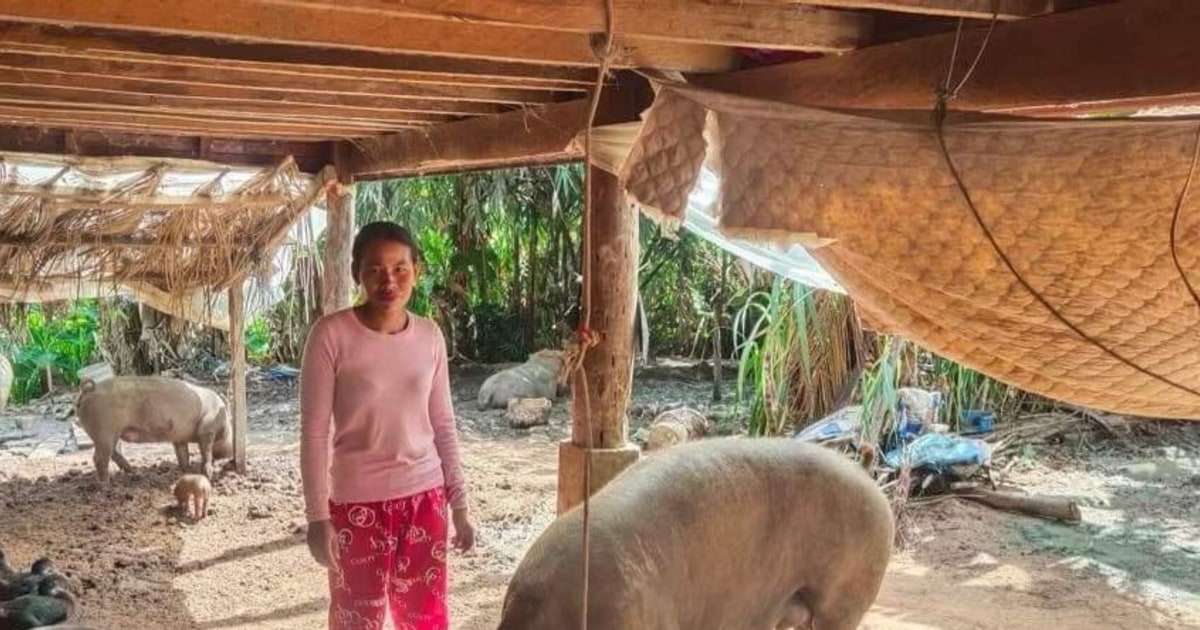 Oeuy from Cambodia's loan has been funded! | Kiva