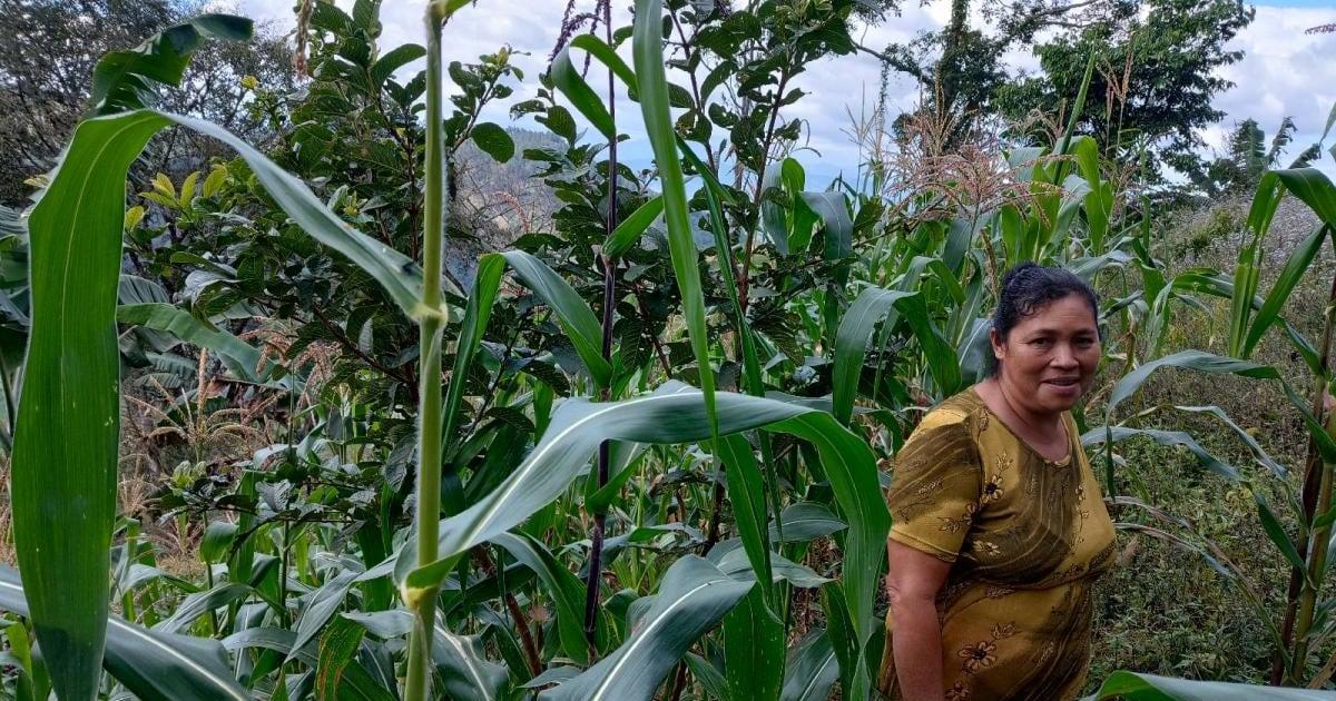 laura-isabel-from-honduras-s-loan-has-been-funded-kiva