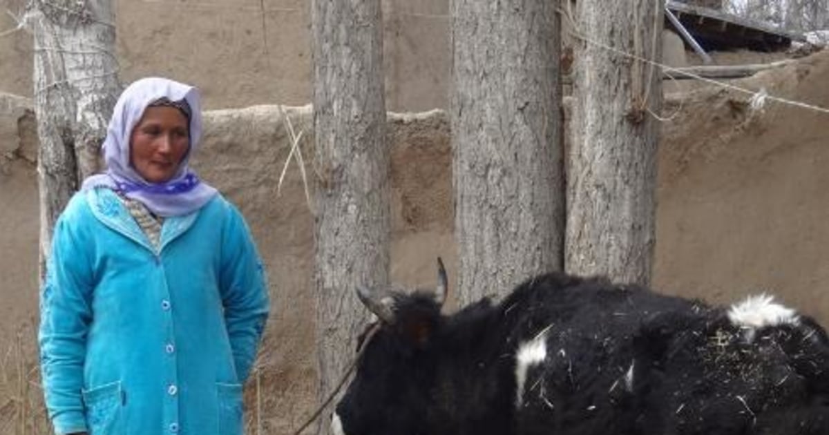 Matluba from Tajikistan's loan has been funded! | Kiva