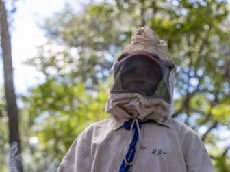 Photo of Wild Hive & Co.