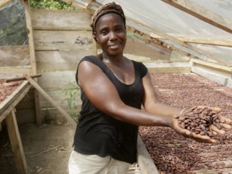 Photo of Liberia Cocoa Corporation