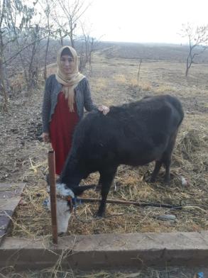 Marziya